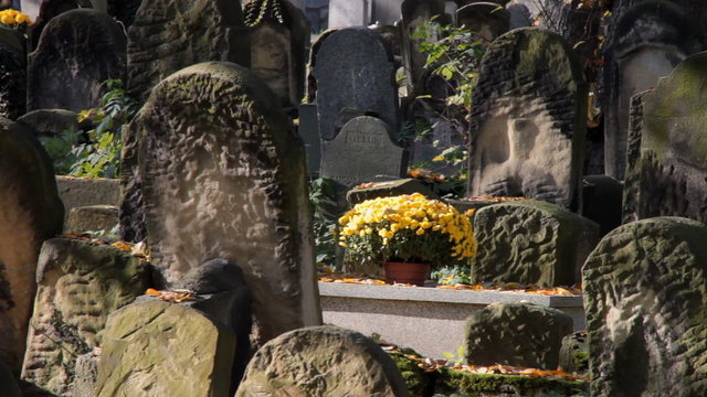 Flowers on tombstone at Jewish Cemetery