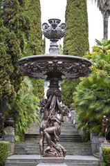 The park arboretum