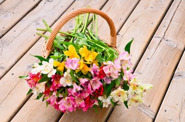 beautiful alstroemeria flowers in basket on wooden surface