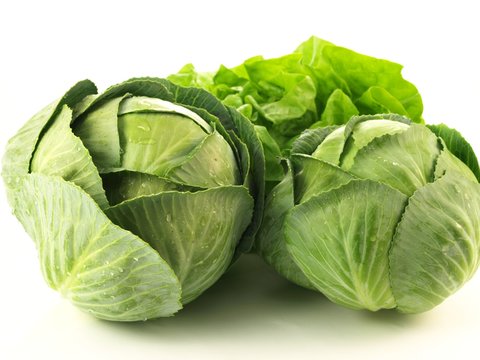 Cabbage and lettuce, isolated