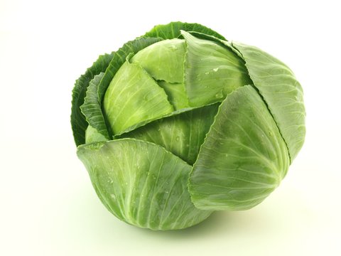 Cabbage, isolated