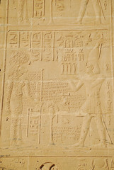 Egyptian hieroglyphs engraved on stone in Horus temple, Egypt