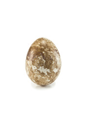 quail egg
