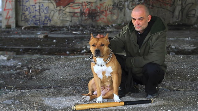Criminal posing with bat and pit bull in front of graffiti