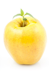 yellow apple