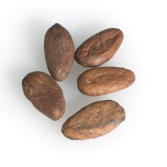 Fototapeta na wymiar Kakaobohnen, Theobroma Cacao
