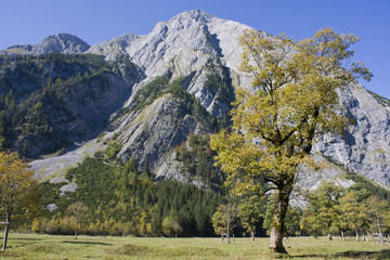 am grossen ahornboden im karwendel