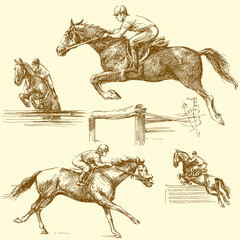 race horse - 40954718