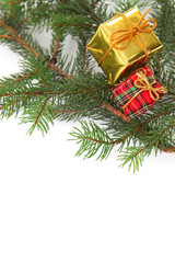Fototapeta na wymiar Christmas presents on a tree