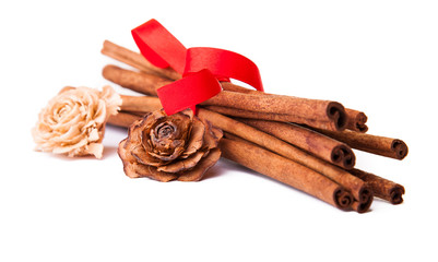 Composition of spices with cinnamon sticks isolated on white