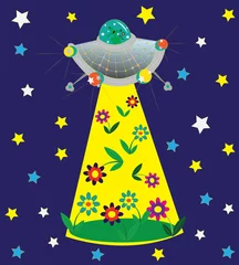 Wandcirkels aluminium UFO en open plek van bloemen. © Rimmolki