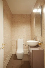 Interior modern toilet