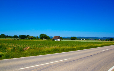 road at cornfield