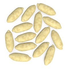 3d render of nut (natural food)