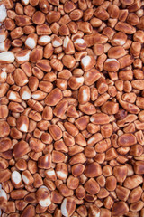 close up of chocolate with puffed rice, texture