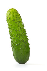 image of a green cucumber