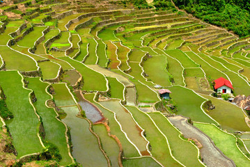 La petite maison rouge dans la rizi&egrave;re