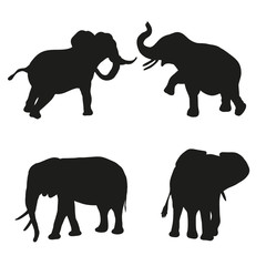 Silhouettes of elephants on a white background - vector