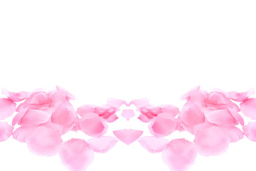 Obraz na płótnie Canvas rose petals