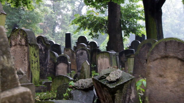 Rainy day at Jewish Cemetery