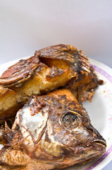 Tilapia fried