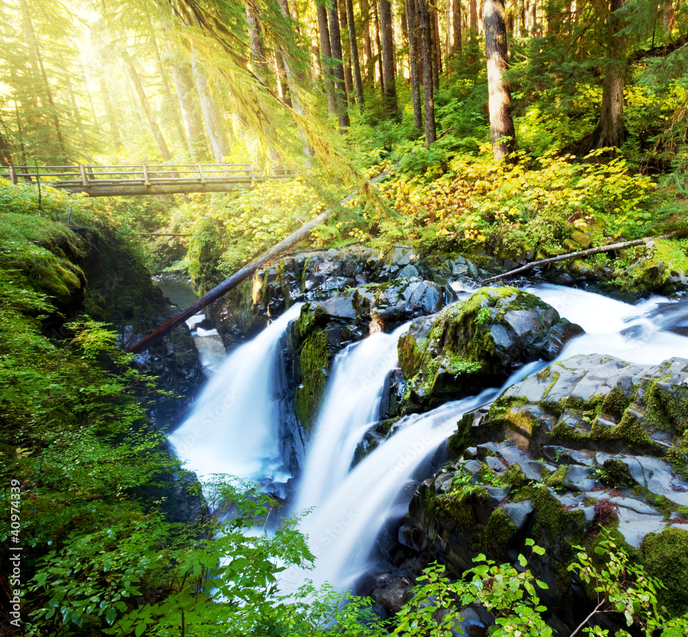 Wall mural Sol Duc