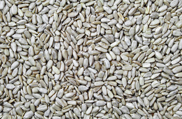 Sunflower seeds peeled