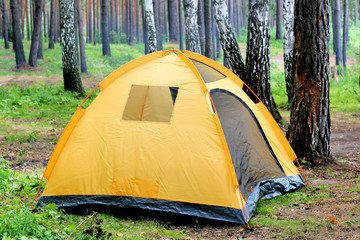 tent in forest