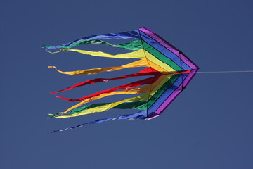 Flying kite