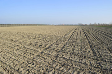 Agricoltura in campo