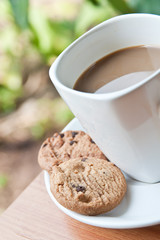 coffee cup with cookie .