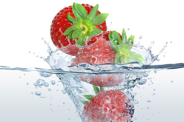 Obst 445