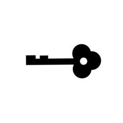 Isolate of key on white background