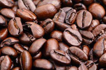 coffee bean
