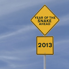 2013 - The Year of the Snake