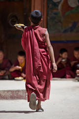 Budhist monk