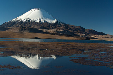 Andean volcano Parinacota