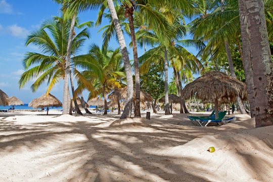 Palmenstrand in Bayahibe, Dominikanische Republik