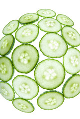 Fisheye green cucumber