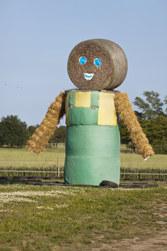 Strohmann