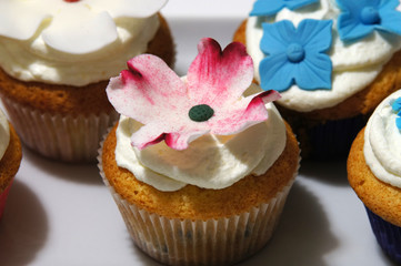 cupcakes décorés avec fleurs bleues blanches rouges