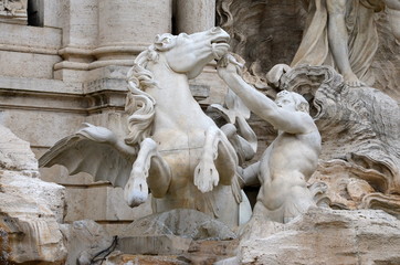 Naklejka premium Cavallo agitato, Fontana di Trevi, Roma
