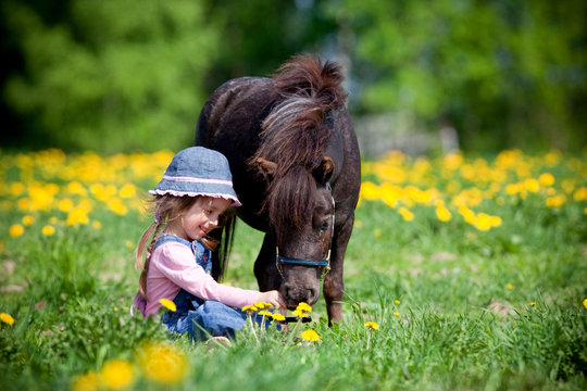 Child feeding small horse in the field at spring.
