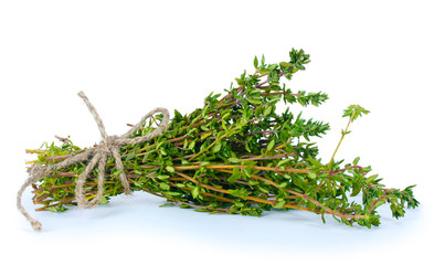 fresh green thyme isolated on white