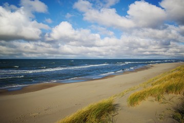 Summer beach and seascape