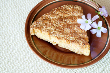 Slice of delicious fresh baked  cake