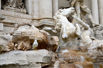 Cavallo agitato, Fontana di Trevi, Roma
