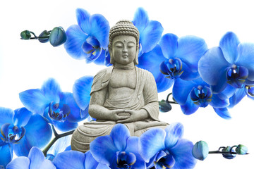 Bouddha et Orchidées Bleue