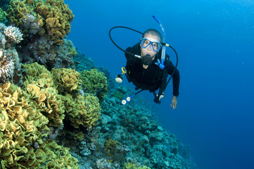 Naklejka na ściany i meble scuba diver on a coral reef