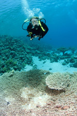 female scuba diver